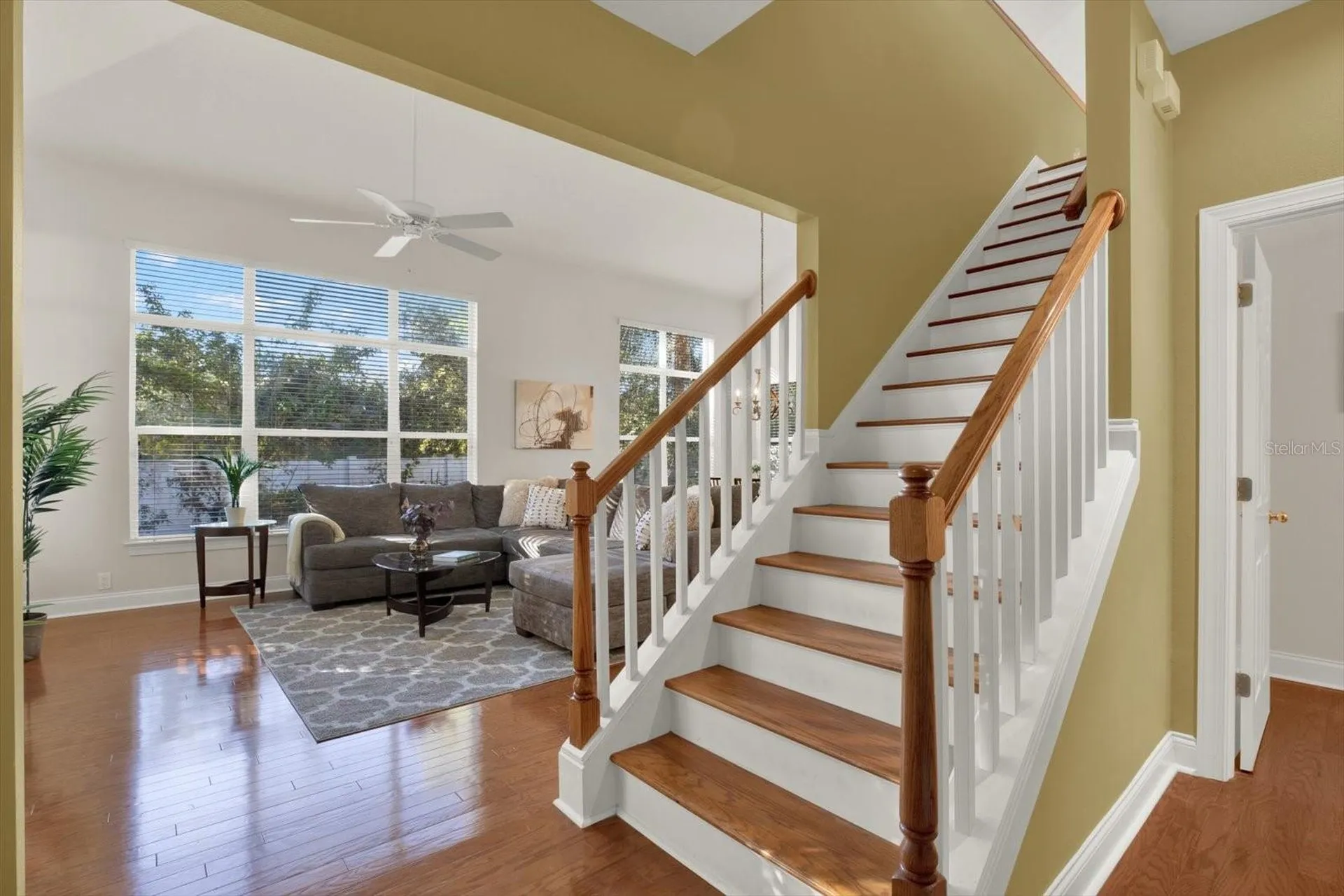 3511 Heards Ferry Drive Tampa FL 33618