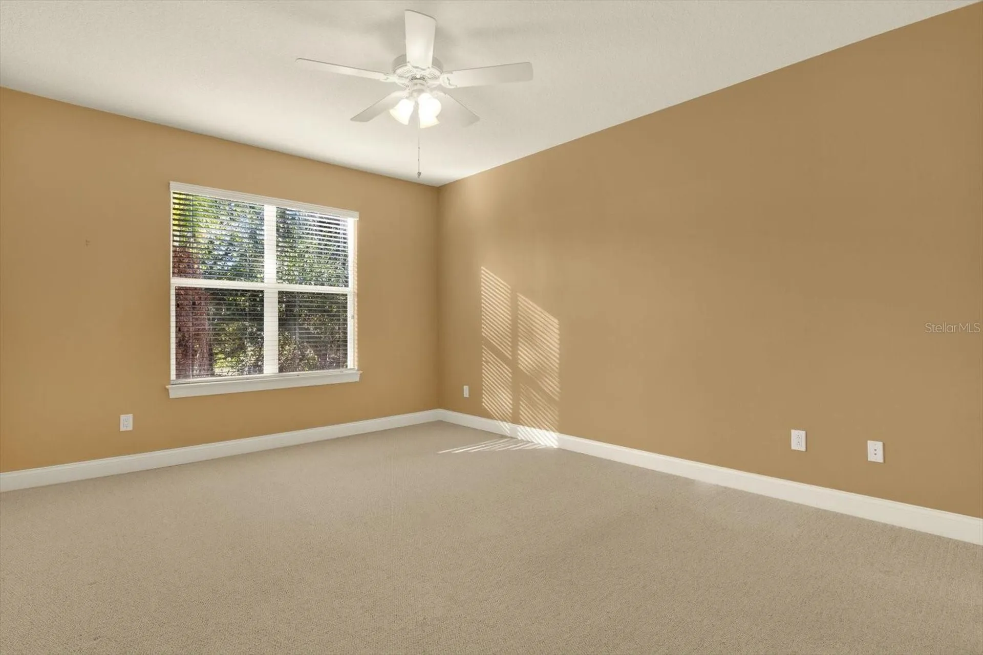 3511 Heards Ferry Drive Tampa FL 33618