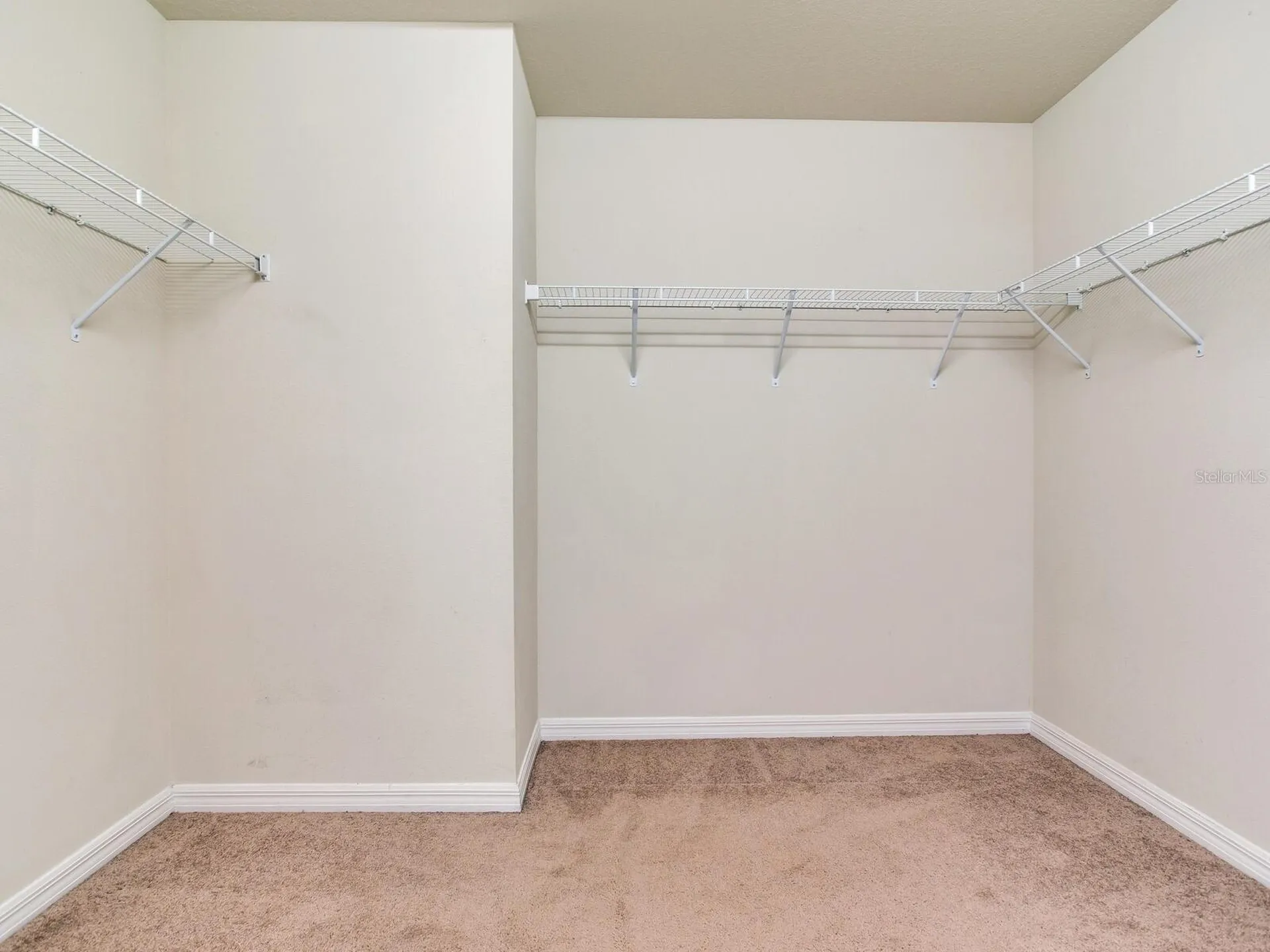 8306 Red Spruce Avenue Riverview FL 33578