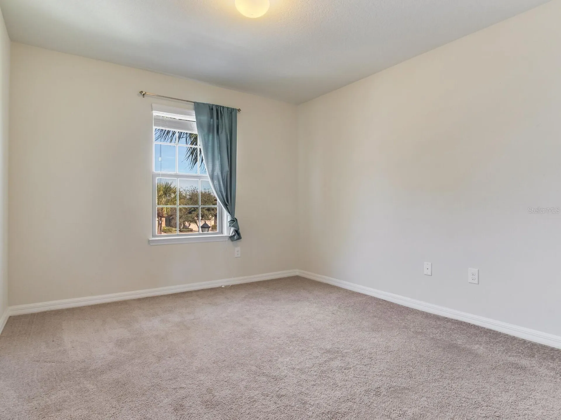 8306 Red Spruce Avenue Riverview FL 33578