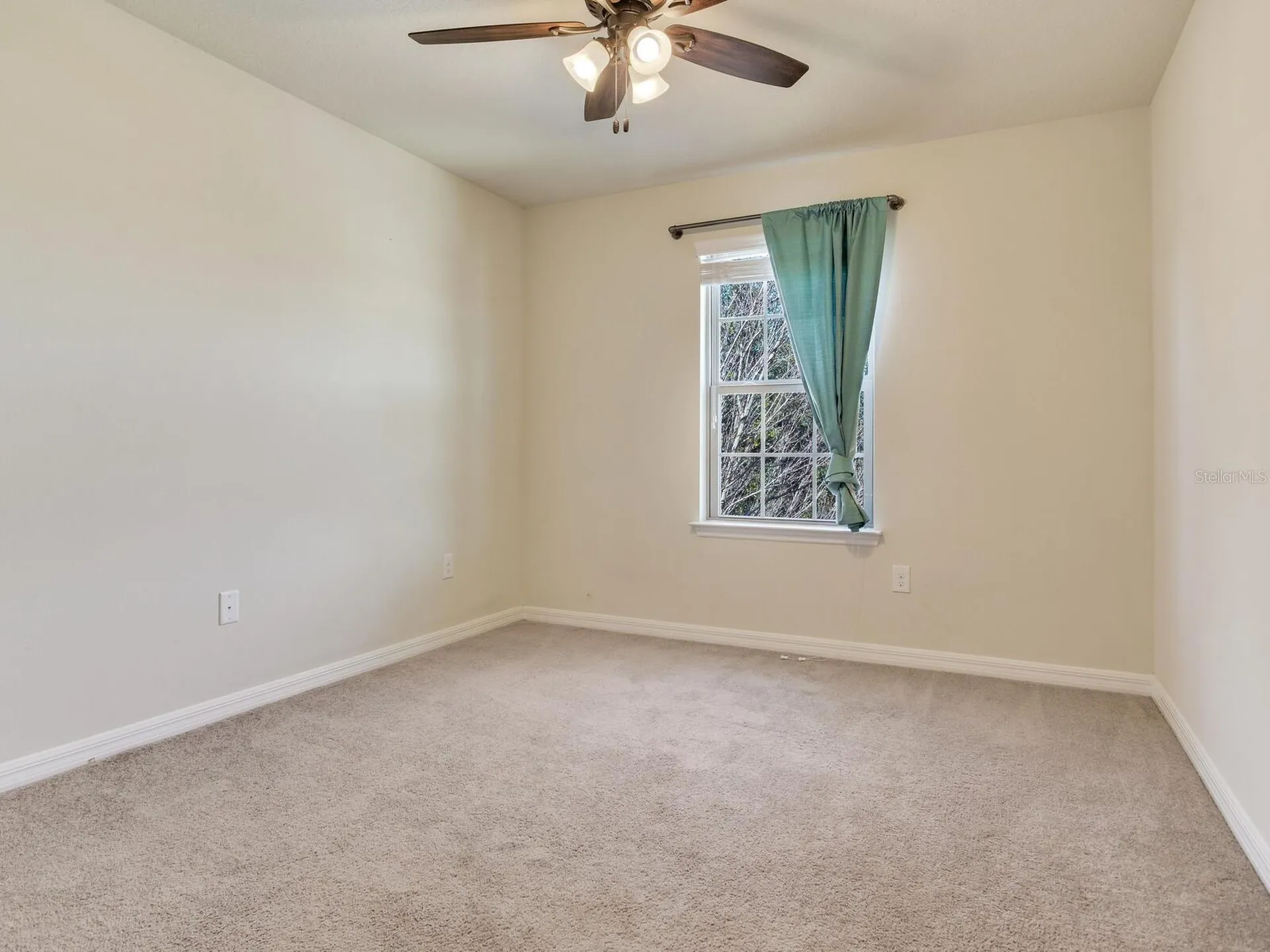 8306 Red Spruce Avenue Riverview FL 33578