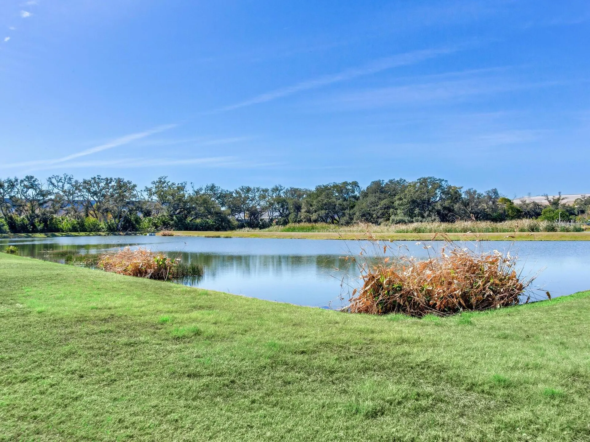 8306 Red Spruce Avenue Riverview FL 33578