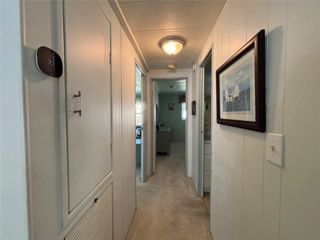 4133 Oak Grove Drive Zellwood FL 32798