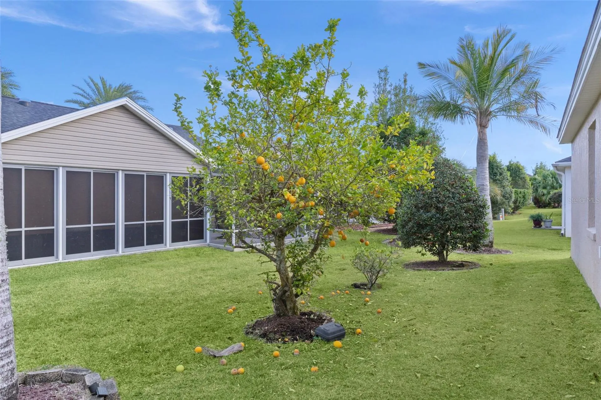 1653 Homer Avenue The Villages FL 32162