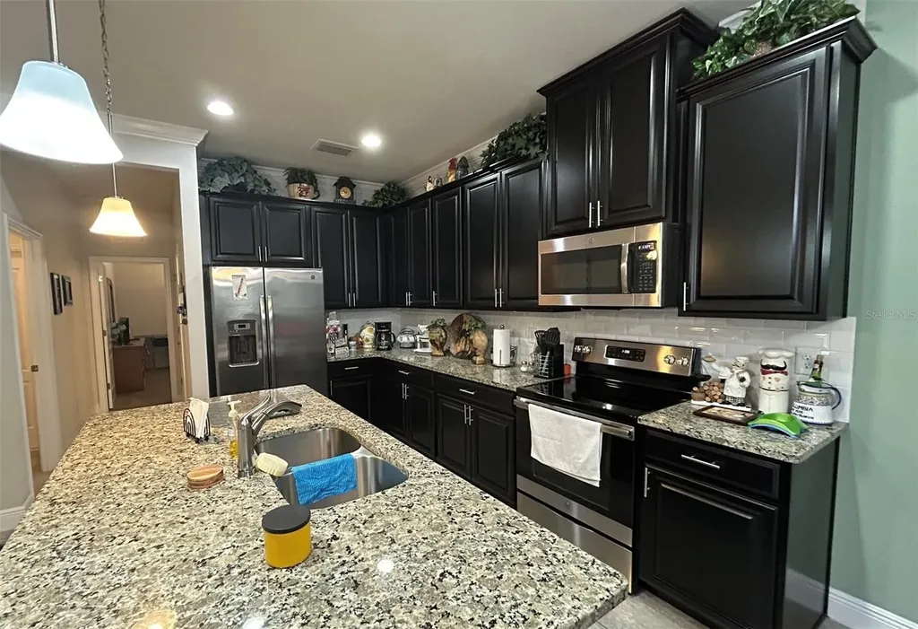 10647 Heron Hideaway Loop Land O Lakes FL 34638