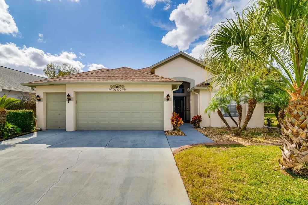 20520 Homossasa Court Land O Lakes FL 34637