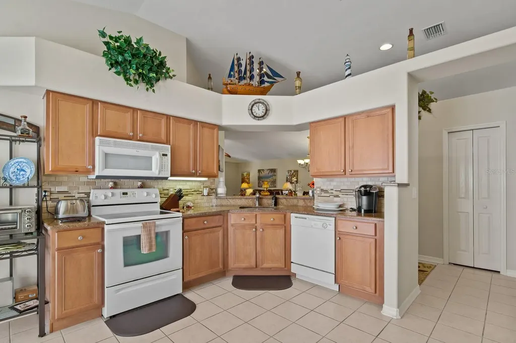 20520 Homossasa Court Land O Lakes FL 34637