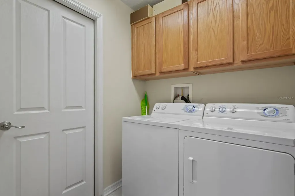 20520 Homossasa Court Land O Lakes FL 34637
