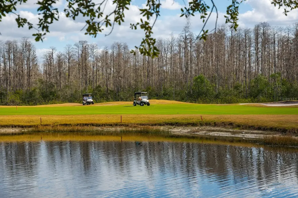20520 Homossasa Court Land O Lakes FL 34637