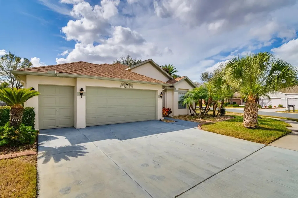 20520 Homossasa Court Land O Lakes FL 34637