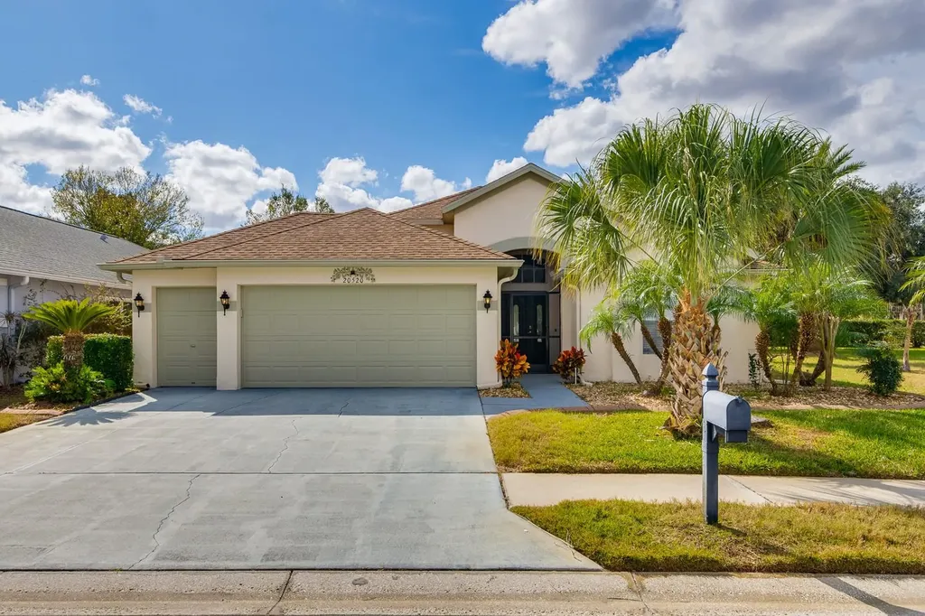 20520 Homossasa Court Land O Lakes FL 34637