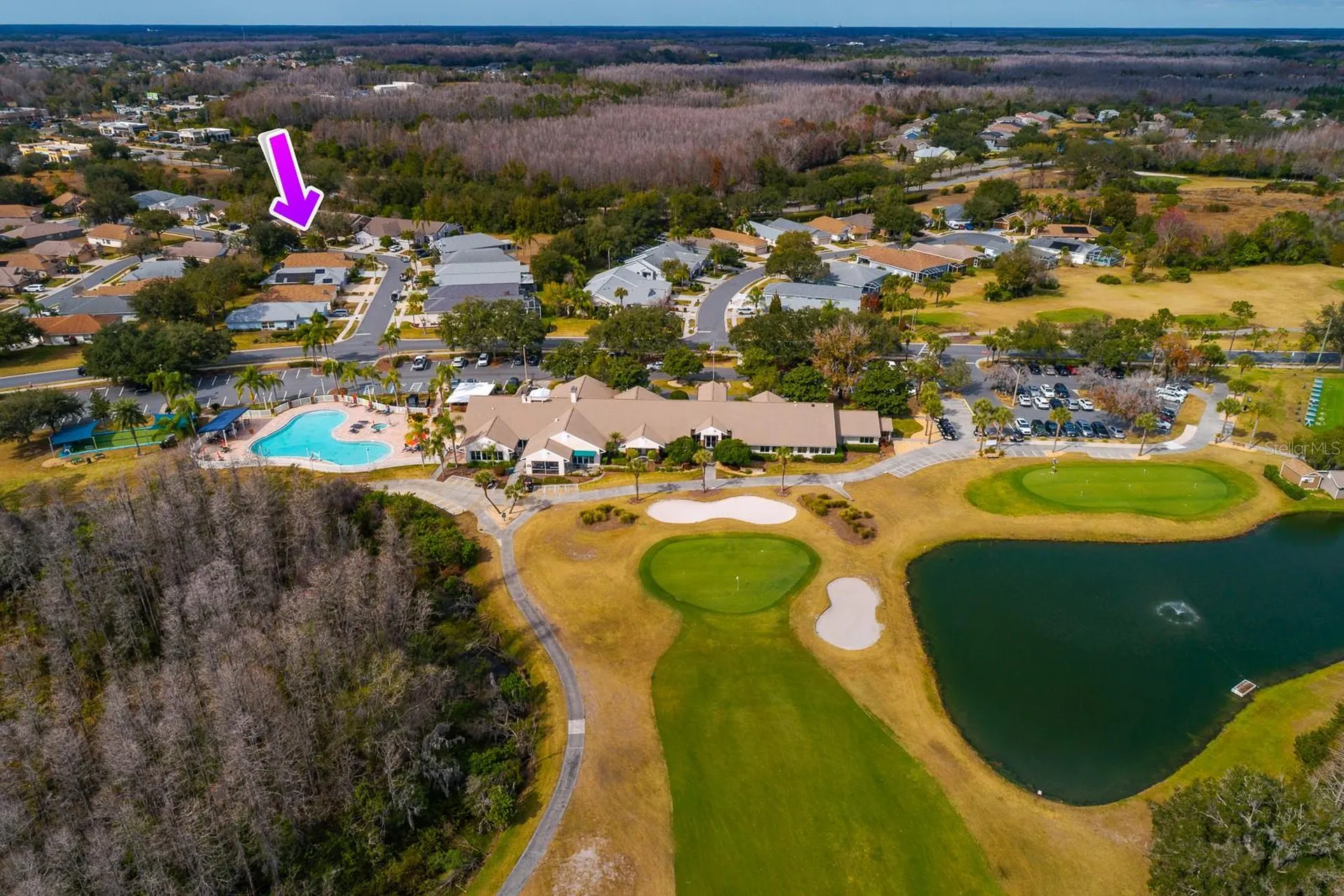 20520 Homossasa Court Land O Lakes FL 34637