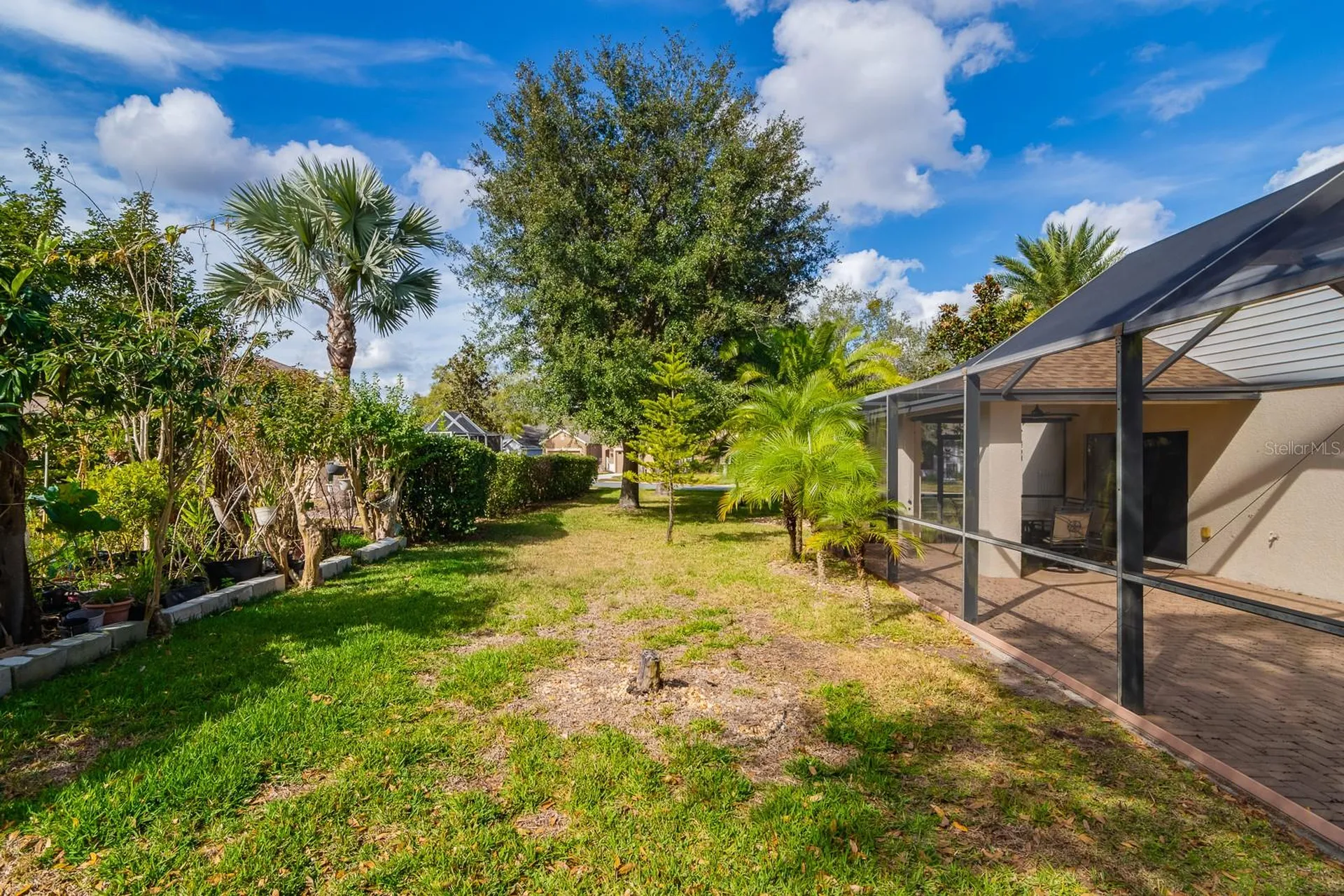 20520 Homossasa Court Land O Lakes FL 34637