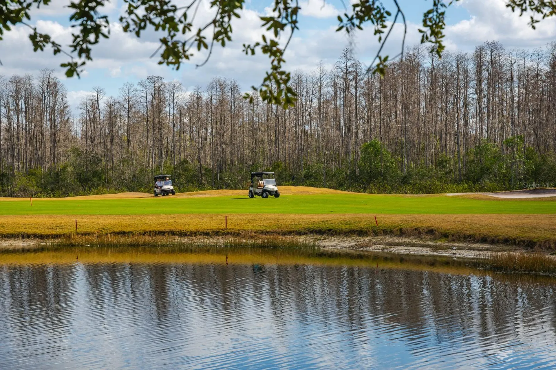 20520 Homossasa Court Land O Lakes FL 34637