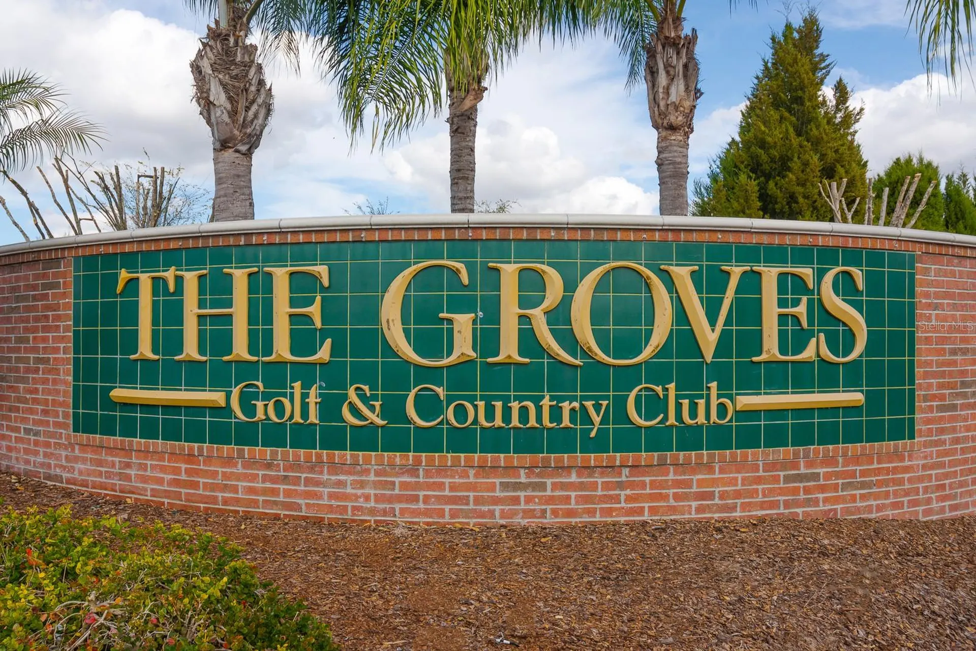 20520 Homossasa Court Land O Lakes FL 34637