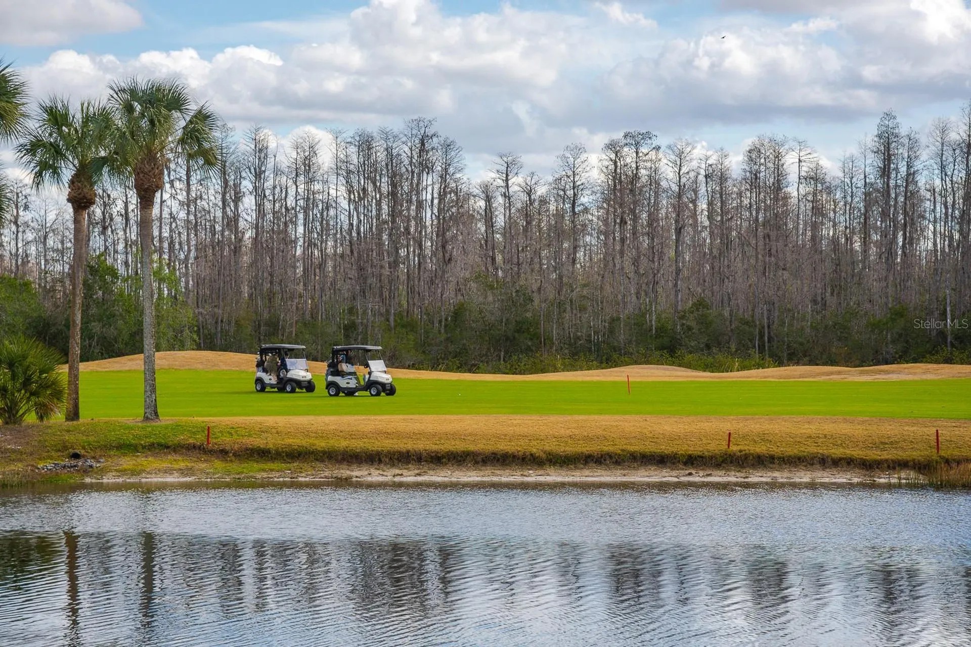 20520 Homossasa Court Land O Lakes FL 34637