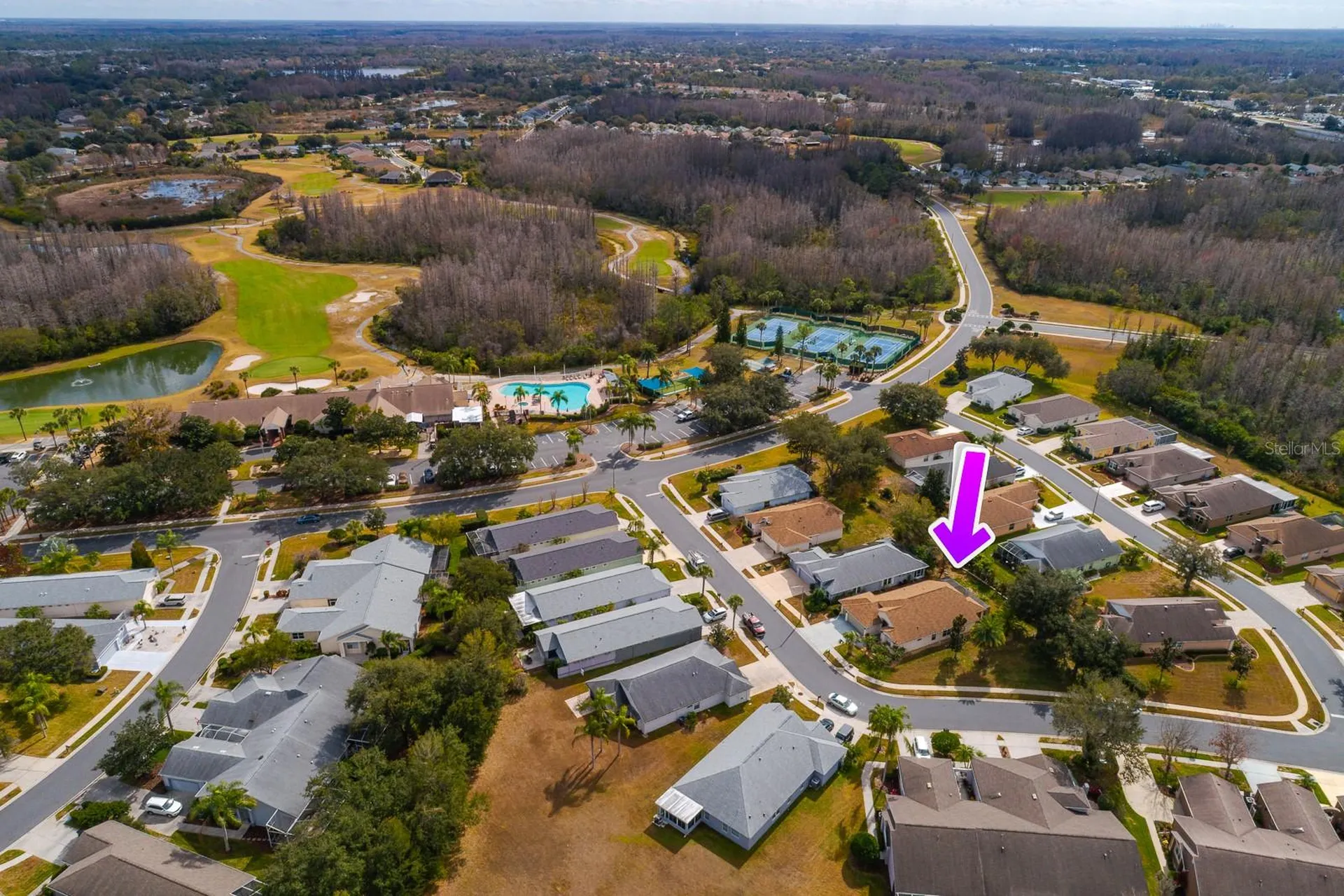 20520 Homossasa Court Land O Lakes FL 34637