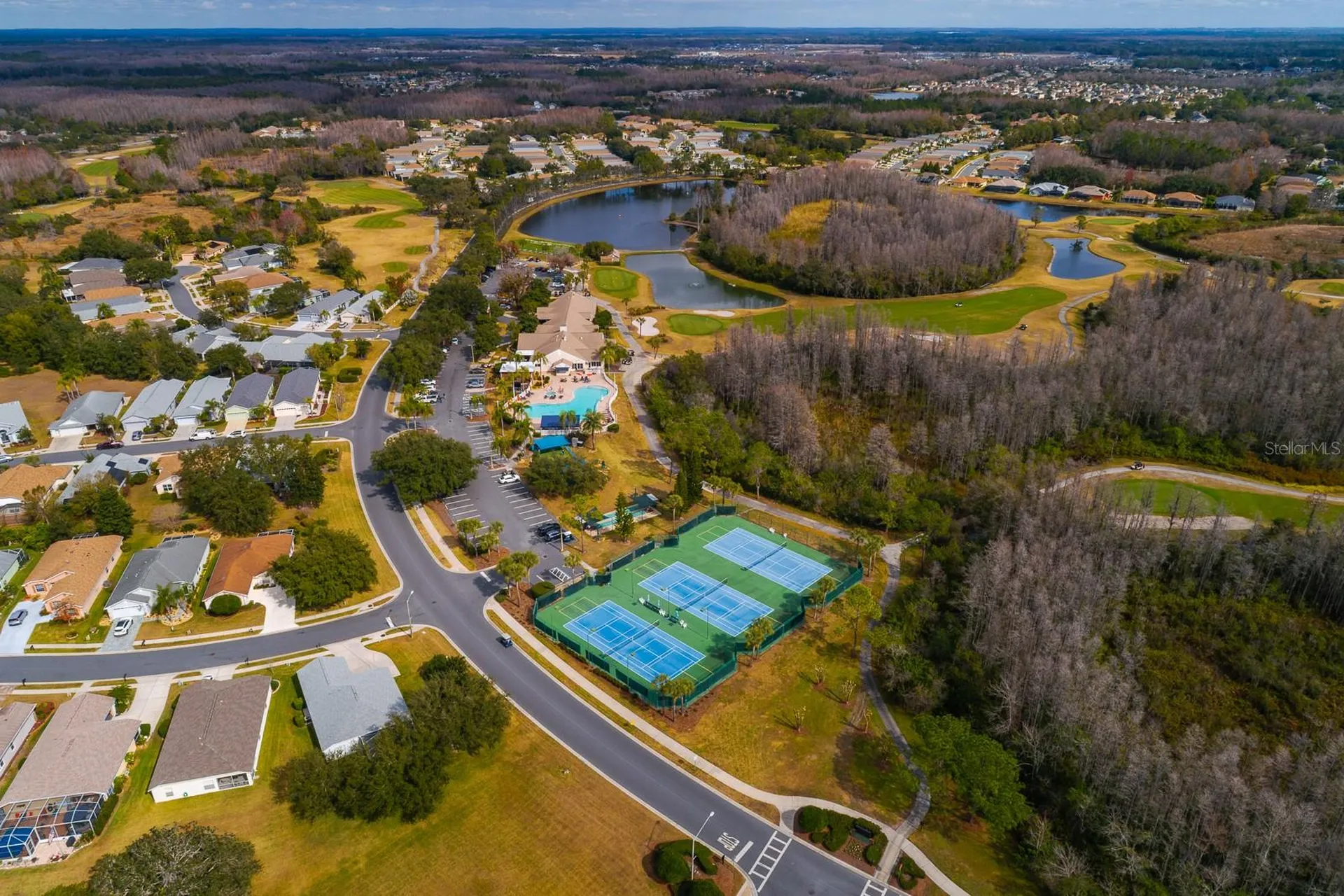 20520 Homossasa Court Land O Lakes FL 34637