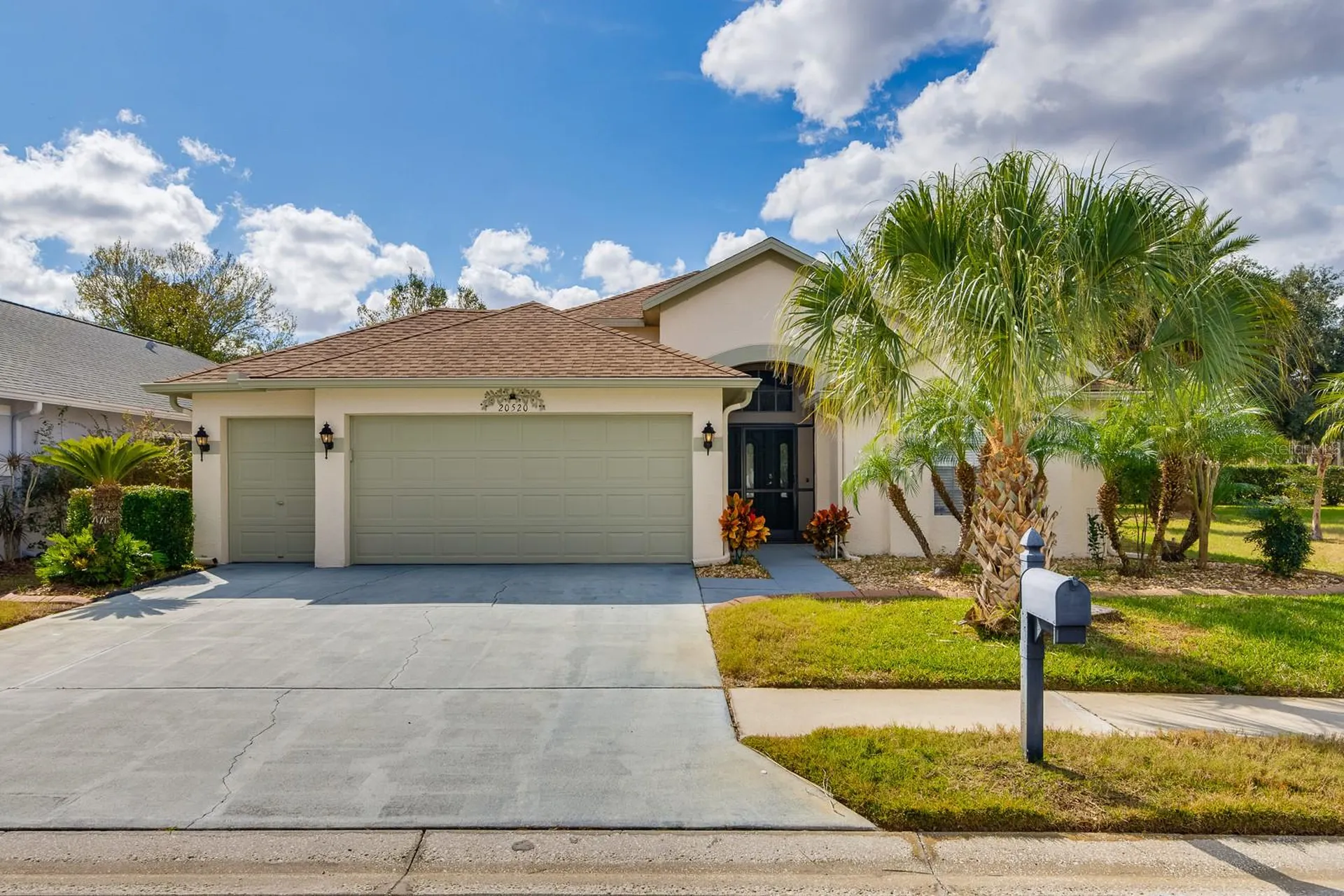 20520 Homossasa Court Land O Lakes FL 34637