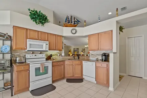 20520 Homossasa Court Land O Lakes FL 34637