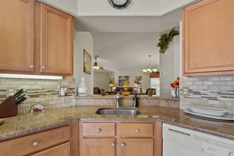 20520 Homossasa Court Land O Lakes FL 34637