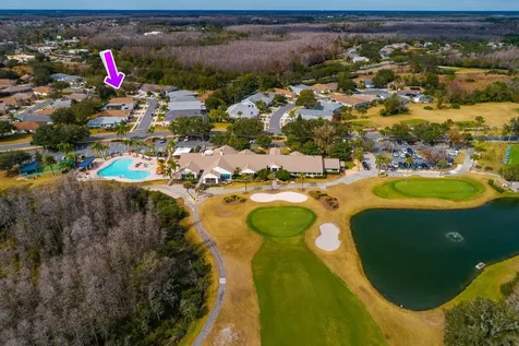20520 Homossasa Court Land O Lakes FL 34637