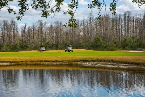 20520 Homossasa Court Land O Lakes FL 34637