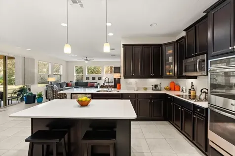 2709 Tree Meadow Loop Apopka FL 32712