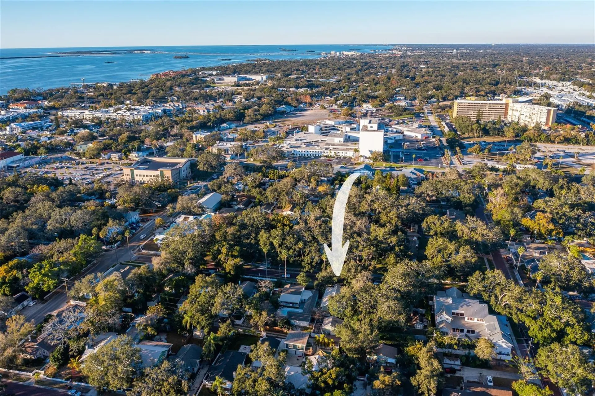 637 Scotland Street Dunedin FL 34698
