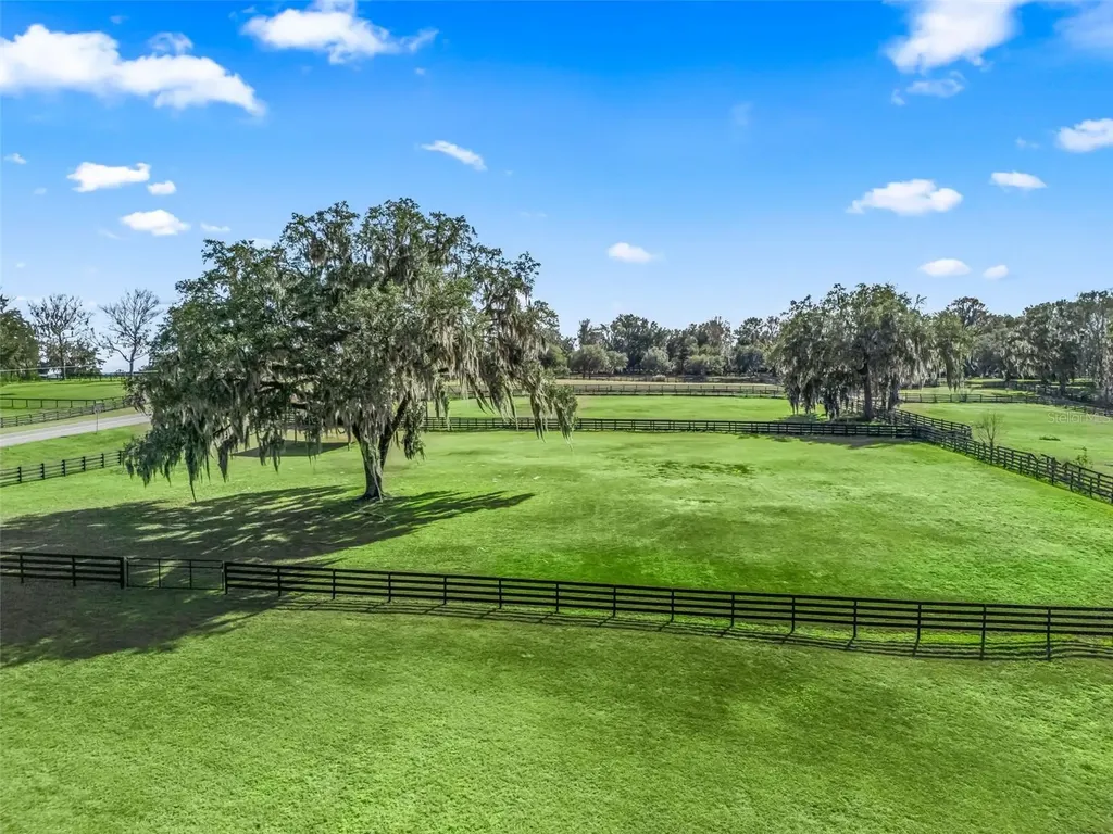 14440 NW Highway 225a Reddick FL 32686