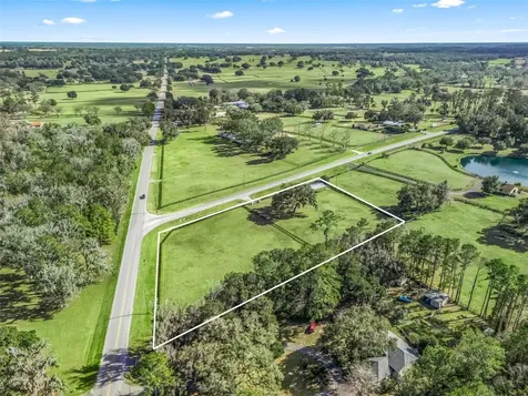 14440 NW Highway 225a Reddick FL 32686