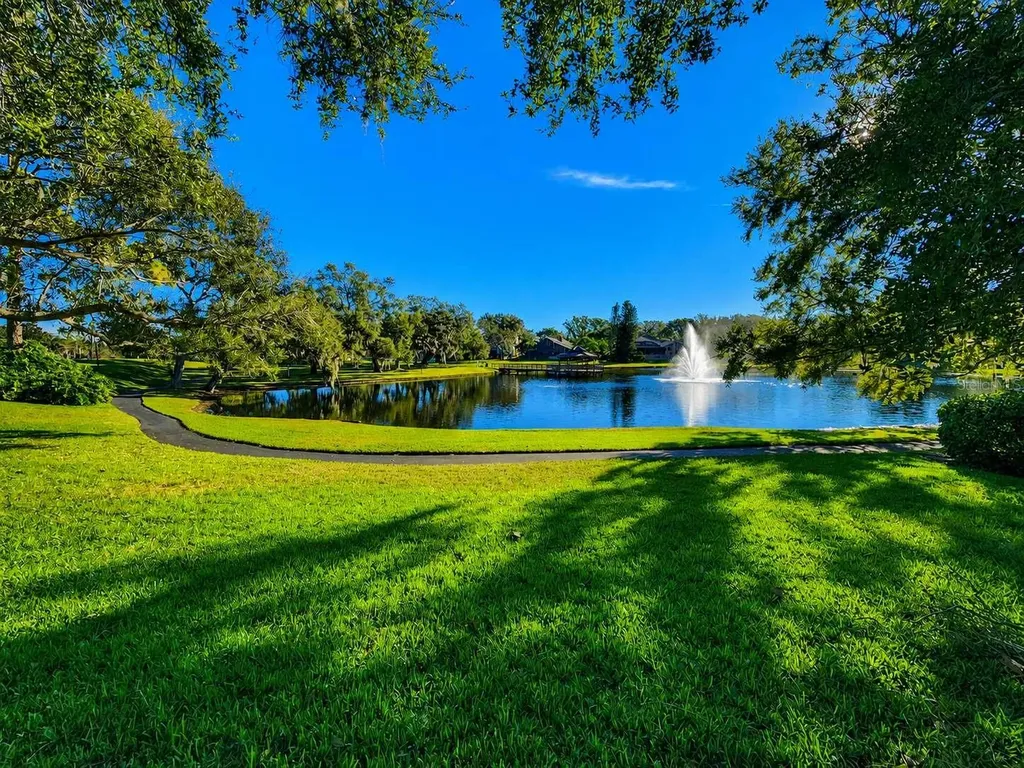 3522 Shoreline Circle Palm Harbor FL 34684