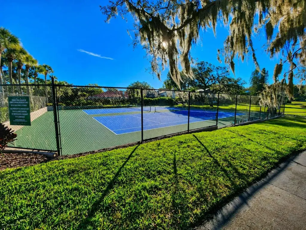 3522 Shoreline Circle Palm Harbor FL 34684