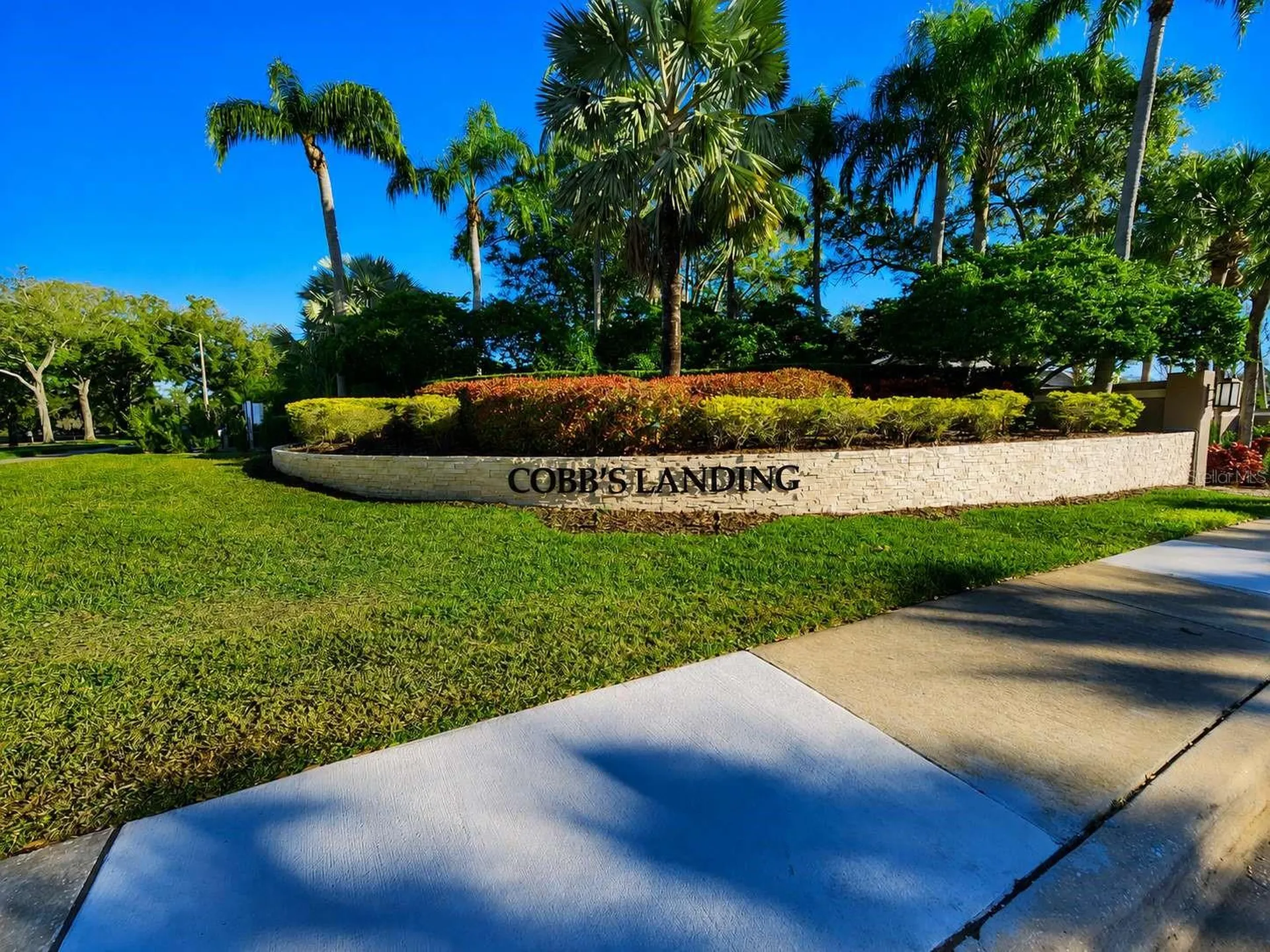 3522 Shoreline Circle Palm Harbor FL 34684
