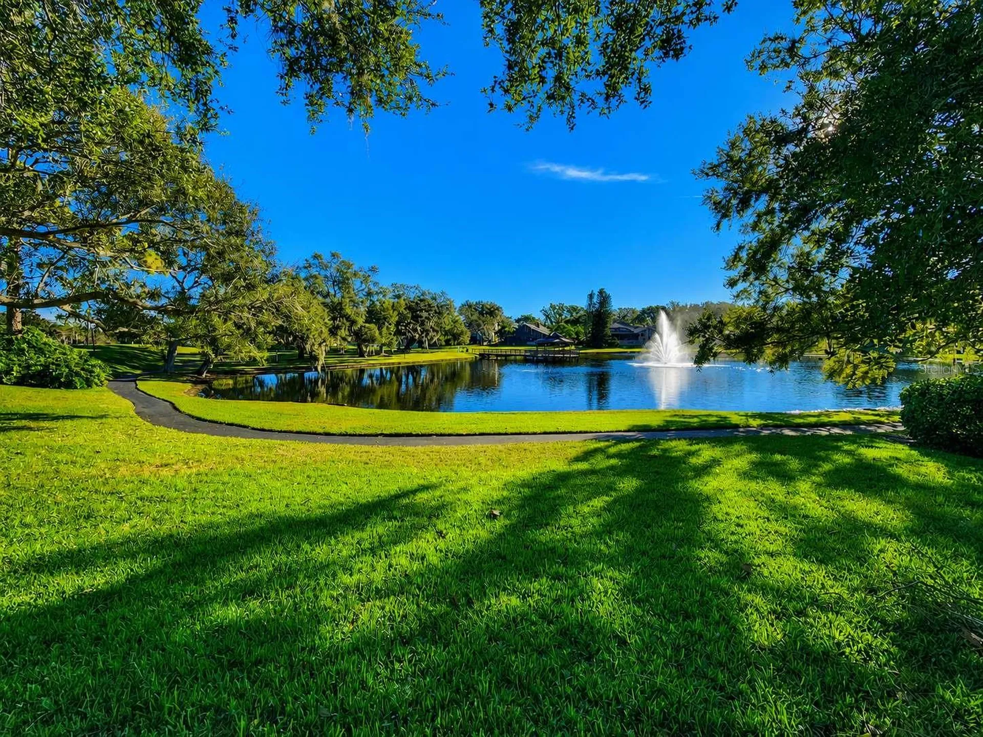 3522 Shoreline Circle Palm Harbor FL 34684