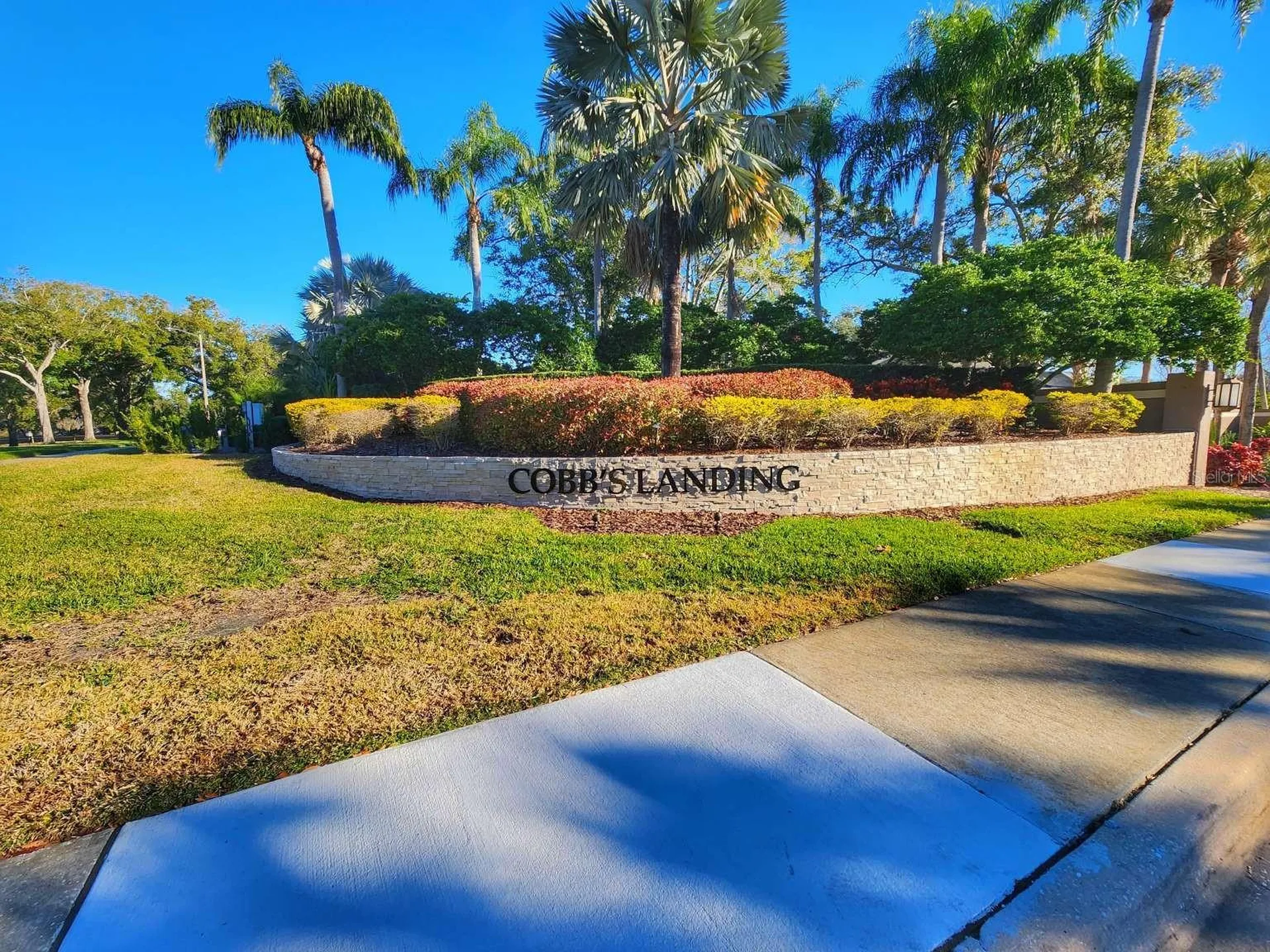 3522 Shoreline Circle Palm Harbor FL 34684