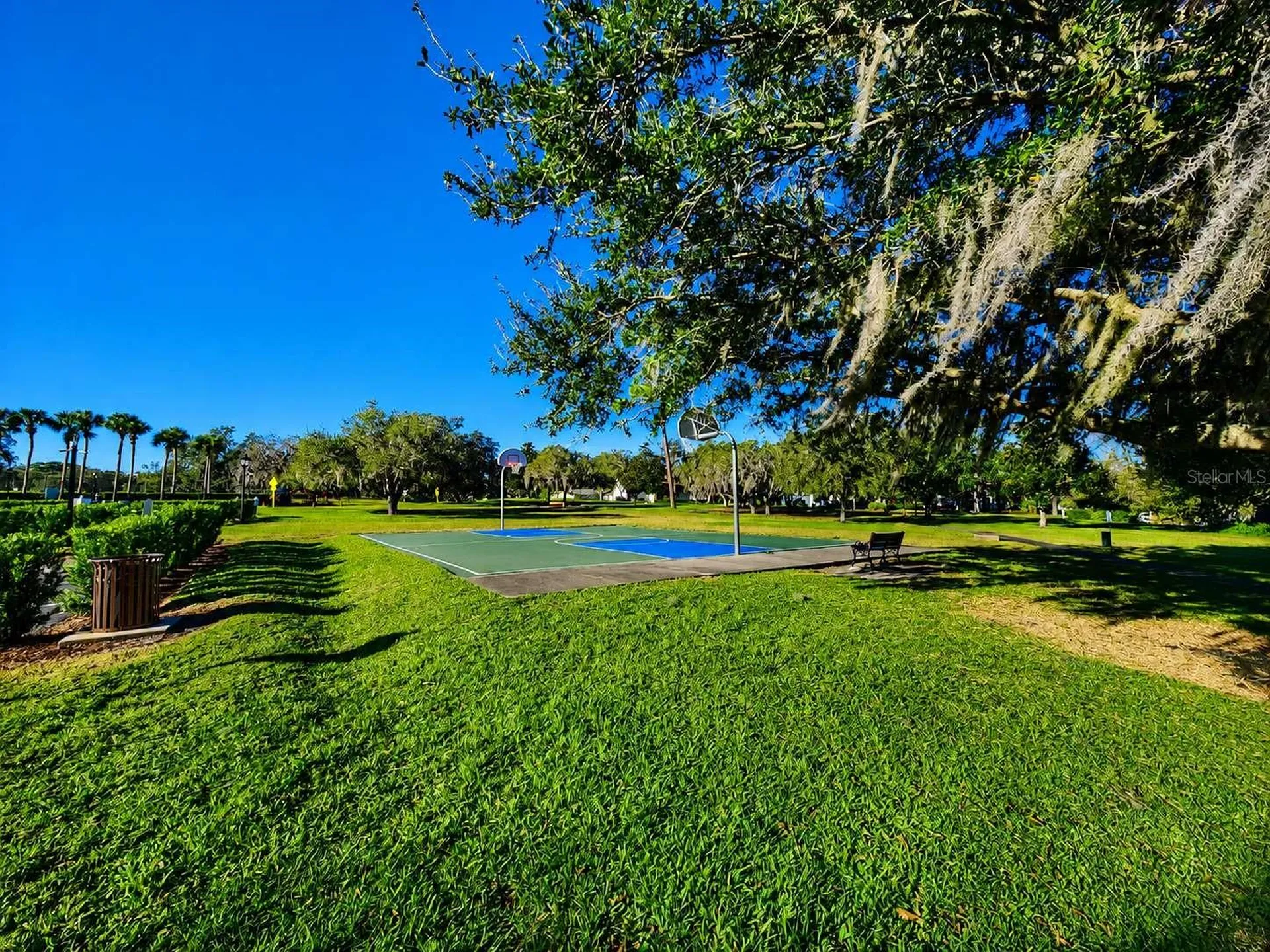 3522 Shoreline Circle Palm Harbor FL 34684
