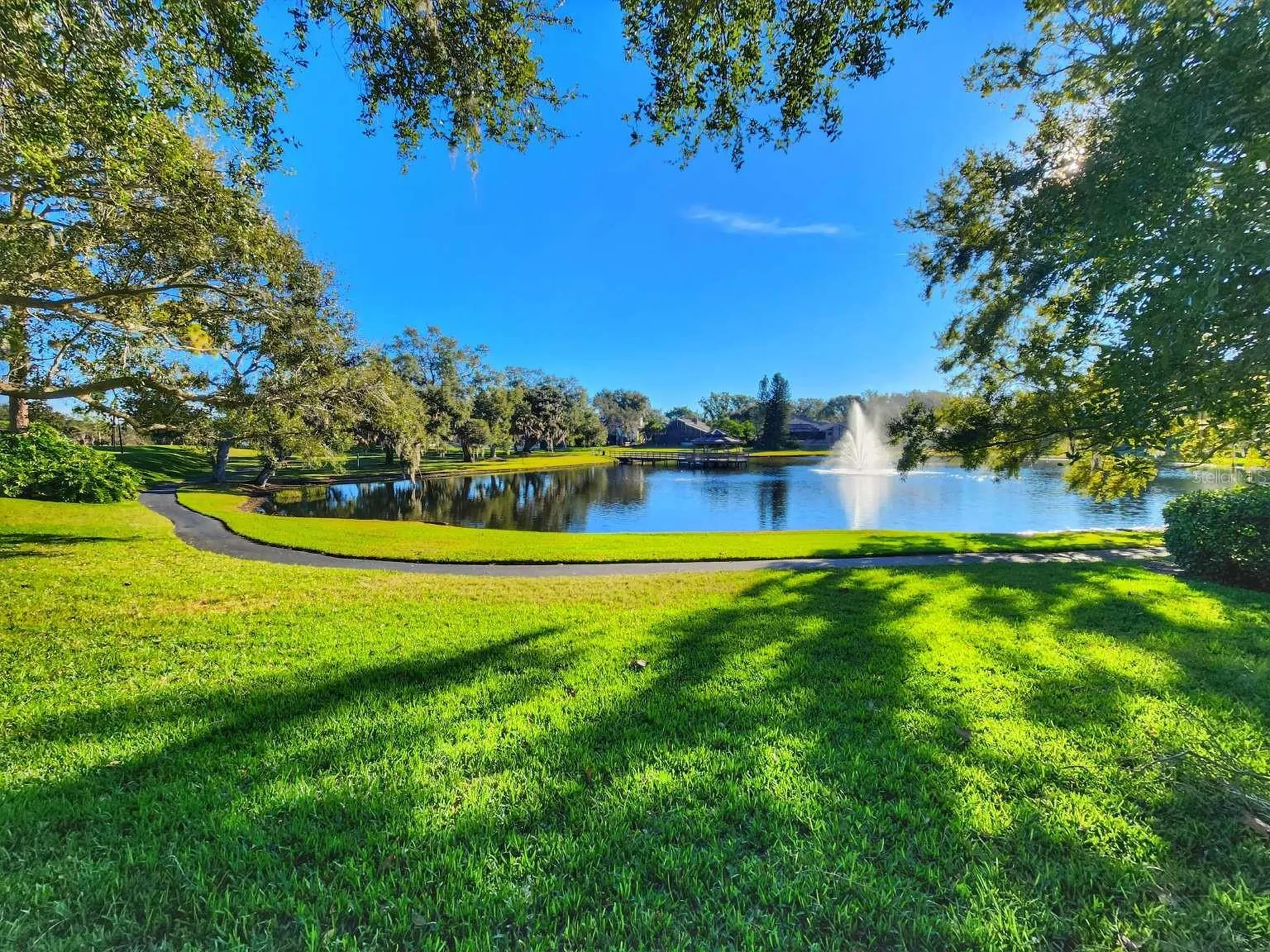 3522 Shoreline Circle Palm Harbor FL 34684