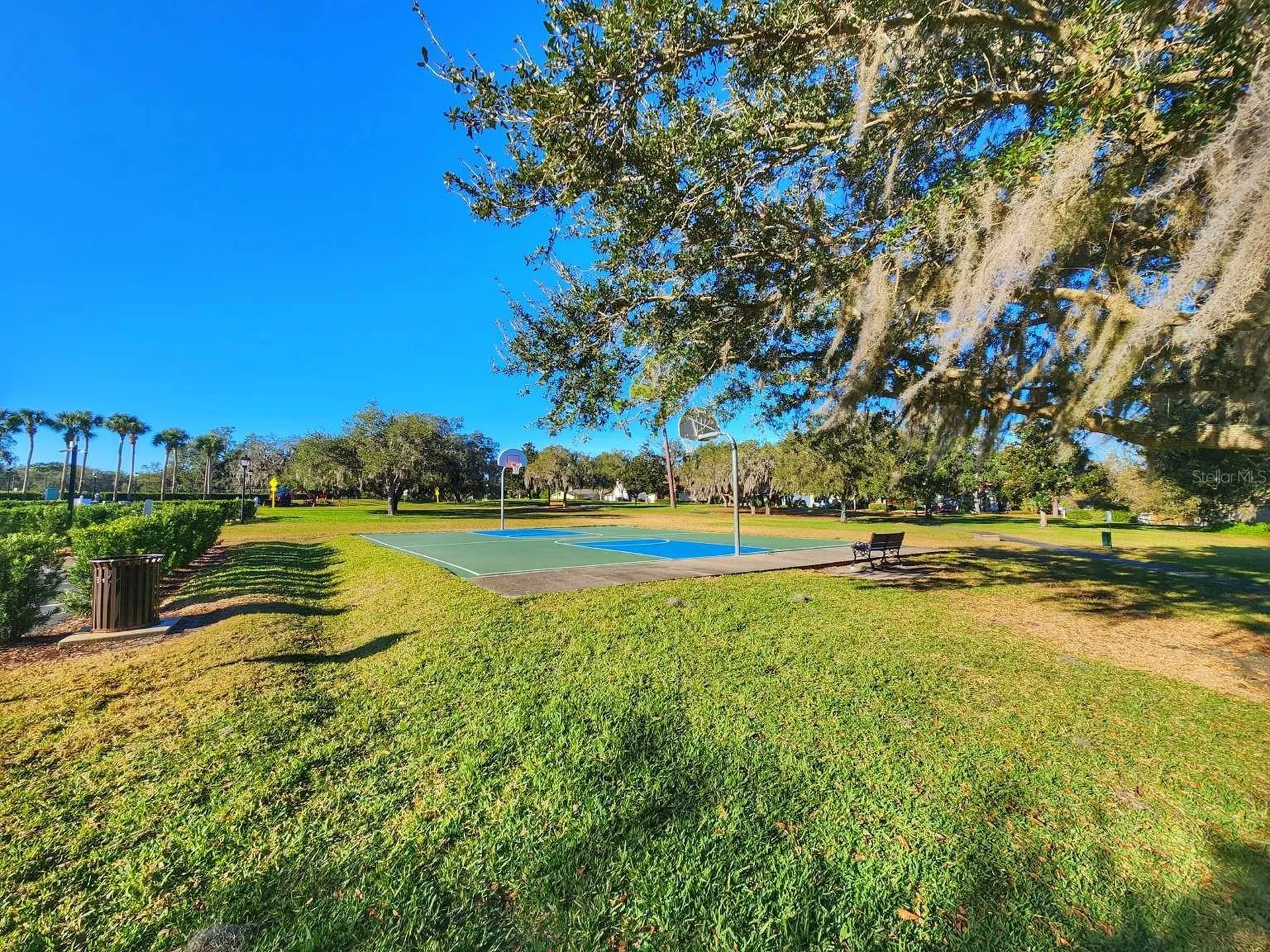 3522 Shoreline Circle Palm Harbor FL 34684