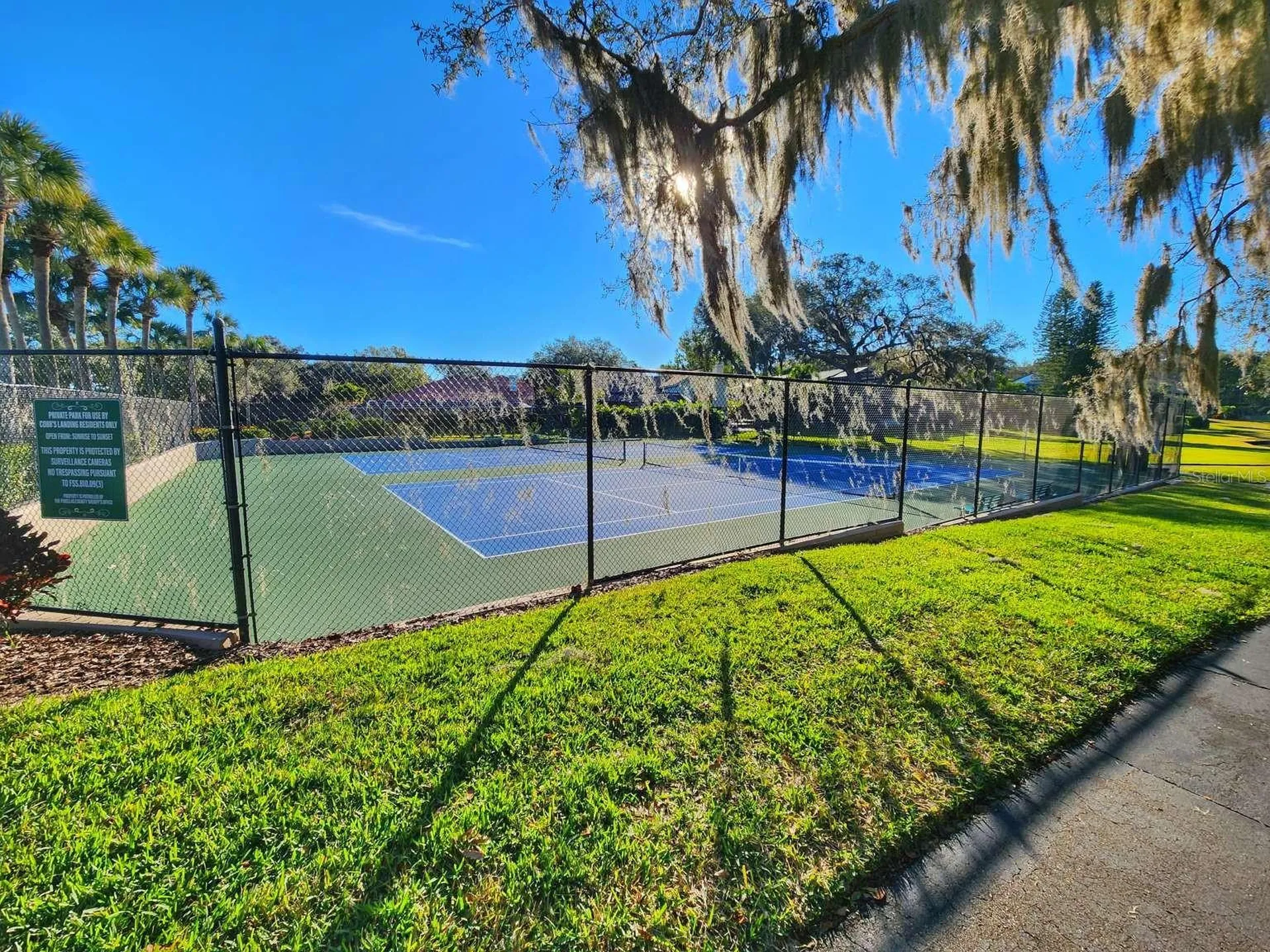 3522 Shoreline Circle Palm Harbor FL 34684