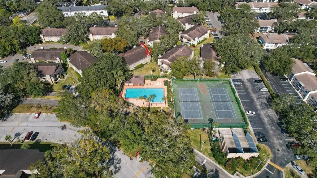 14319 Hanging Moss Circle Tampa FL 33613