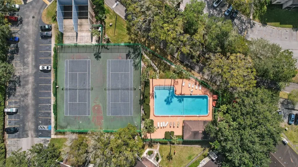 14319 Hanging Moss Circle Tampa FL 33613