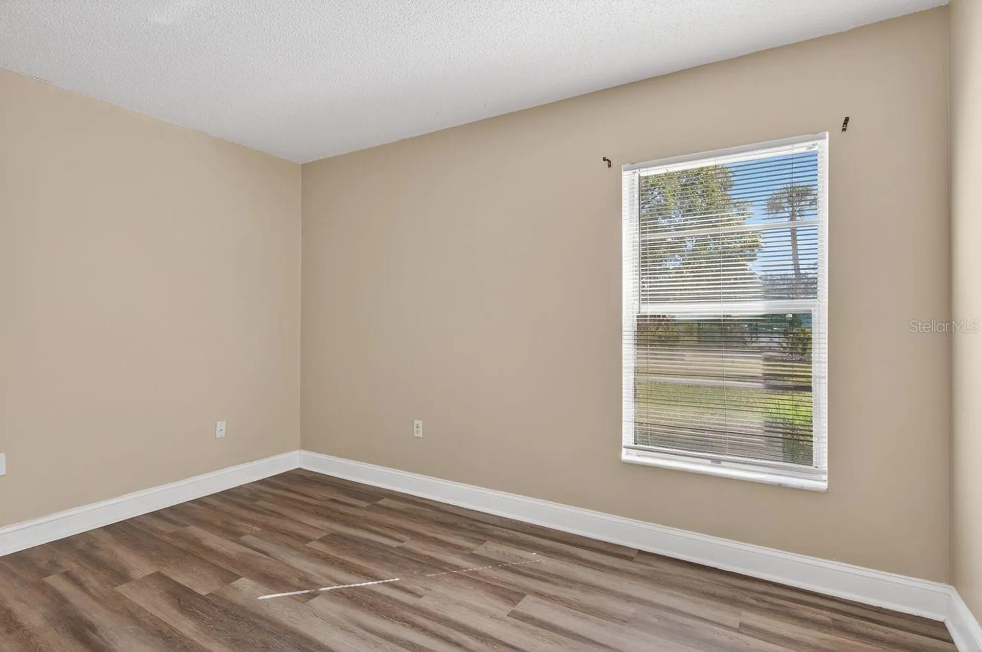 14319 Hanging Moss Circle Tampa FL 33613