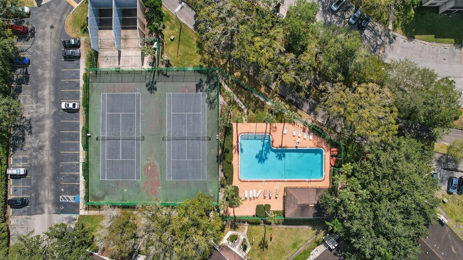 14319 Hanging Moss Circle Tampa FL 33613