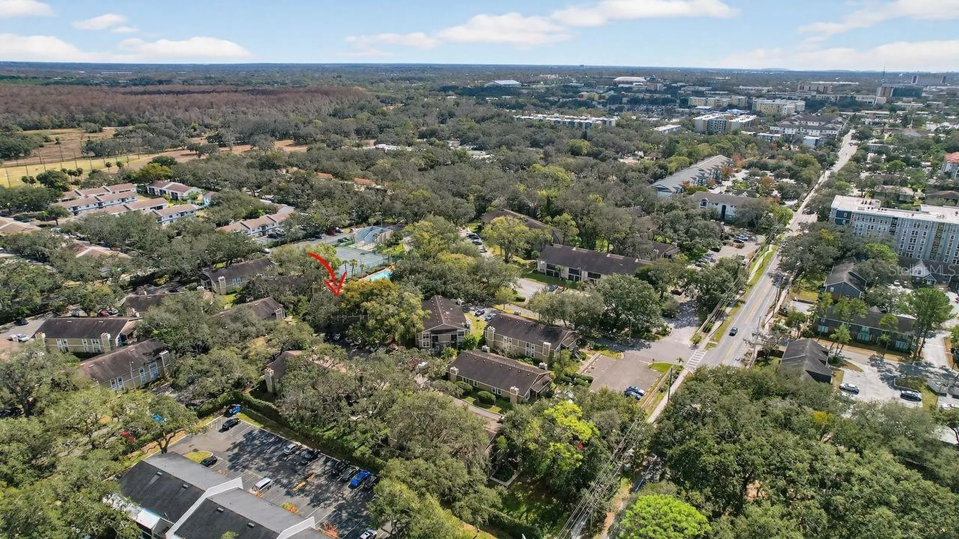 14319 Hanging Moss Circle Tampa FL 33613