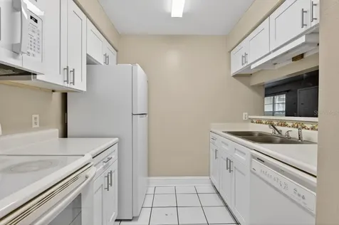 14319 Hanging Moss Circle Tampa FL 33613