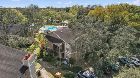 14319 Hanging Moss Circle Tampa FL 33613