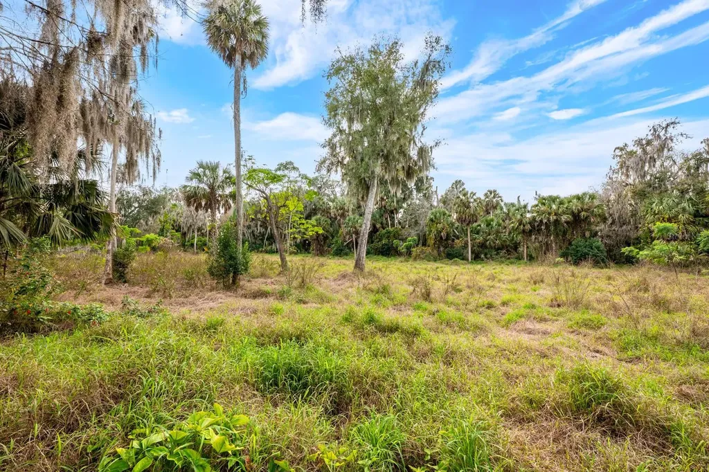 3280 & 3198 Sheaf Road Apopka FL 32703