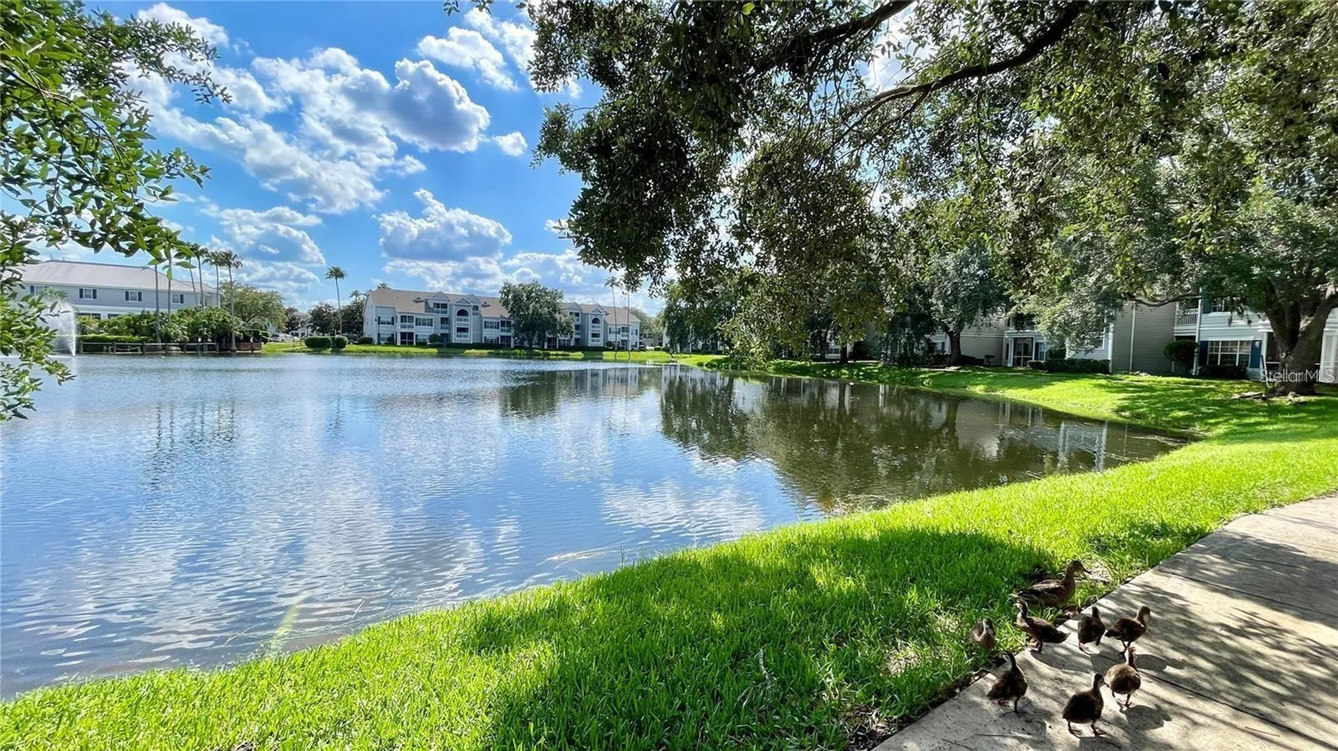 2314 Midtown Terrace Orlando FL 32839
