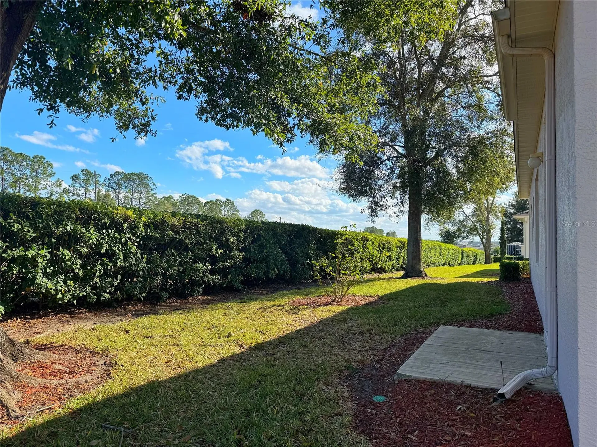 4207 Kingsley Street Clermont FL 34711
